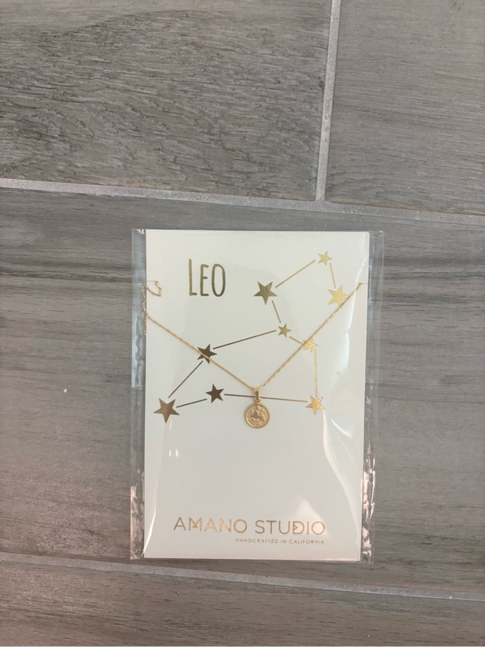 NWT Amano Studio Tiny Zodiac Medallion Necklace Leo Gold Celestial